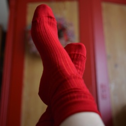 [35-37] Merino prążek CZERWIEŃ skarpety
